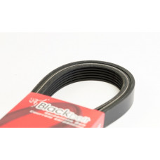 PASEK WIELOROWKOWY